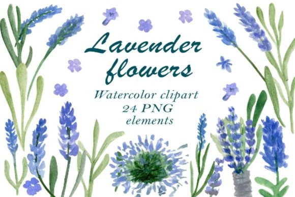 Lavender Floral Clipart: Elegant Watercolor Design Elements