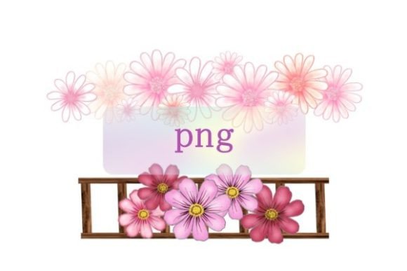 The Daisy Flower Cosmos Floral Clip Art Collection: Your Digital Toolkit for Creative Expression