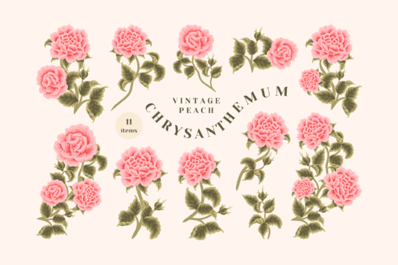 The Versatile Vintage Peach Chrysanthemum Clipart Collection